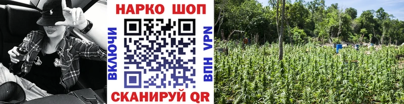 Купить Сертолово ТГК  ГАШИШ  Марихуана  Cocaine 
