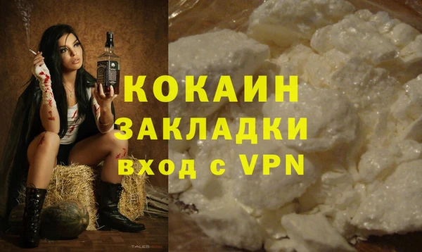 хмурый Новозыбков