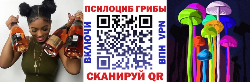 Псилоцибиновые грибы Cubensis Сертолово