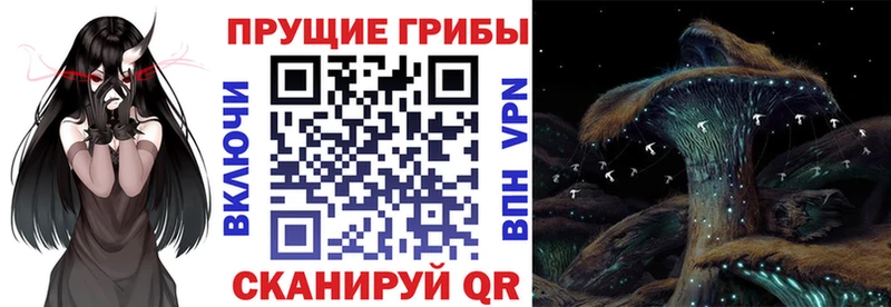 Псилоцибиновые грибы мицелий  закладки  Сертолово 